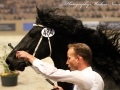 IMG_0580-Jehannes-484
