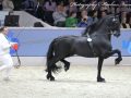 IMG_1163-Jehannes-484