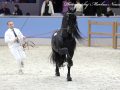 IMG_1211-Jehannes-484