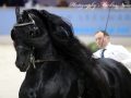 IMG_1215-Jehannes-484