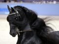 IMG_1216-Jehannes-484