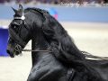 IMG_1223-Jehannes-484