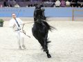 IMG_1271-Jehannes-484