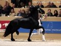IMG_1340-Jehannes-484