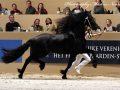 IMG_1343-Jehannes-484
