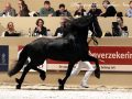 IMG_1346-Jehannes-484