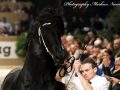 IMG_1388-Jehannes-484