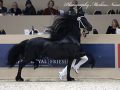 IMG_2804-Jehannes-484