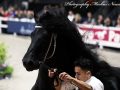 IMG_2828-Jehannes-484