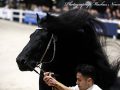 IMG_2829-Jehannes-484