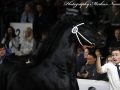 IMG_2886-Jehannes-484