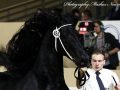 IMG_4431-Jehannes-484