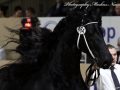 IMG_4432-Jehannes-484