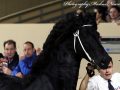 IMG_4589-Jehannes-484