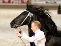 IMG_0187-Jense-432