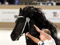 IMG_0209-Jense-432