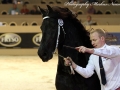 IMG_4684-Jense-432