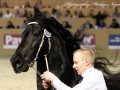 IMG_8505-Jense-432