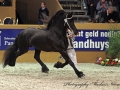 img_0709-jense432