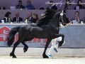 IMG_2911-Jeppe-537