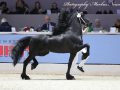 IMG_2958-Jeppe-537