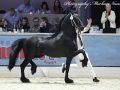 IMG_2974-Jeppe-537