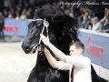 IMG_2992-Jeppe-537