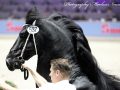 IMG_2996-Jeppe-537