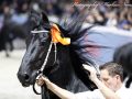 IMG_3635-Jeppe-537