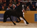 IMG_7213-Jesse-435