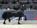 IMG_4959-Jimte-533
