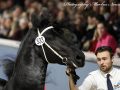 IMG_4990-Jimte-533