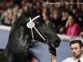 IMG_4991-Jimte-533