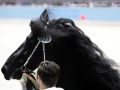 IMG_4994-Jimte-533