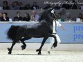 IMG_5007-Jimte-533