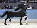IMG_5012-Jimte-533