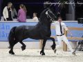 IMG_5029-Jimte-533