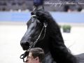 IMG_5043-Jimte-533