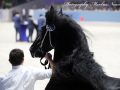IMG_5049-Jimte-533