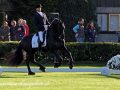 IMG_0367-Jisse-433