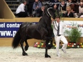 IMG_0627-Jisse-433