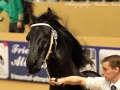 IMG_0638-Jisse-433