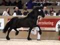 IMG_8092-Jisse-433
