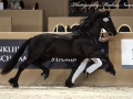 IMG_8105-Jisse-433