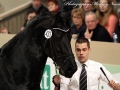 IMG_8116-Jisse-433