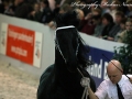 IMG_9736-Jisse-433