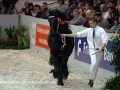 IMG_9845-Jisse-433