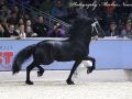 IMG_4843-Jorke-532