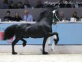 IMG_4853-Jorke-532