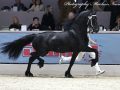 IMG_4863-Jorke-532